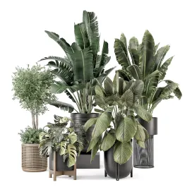 Indoor Plants in Ferm Living Bau Pot Large Set